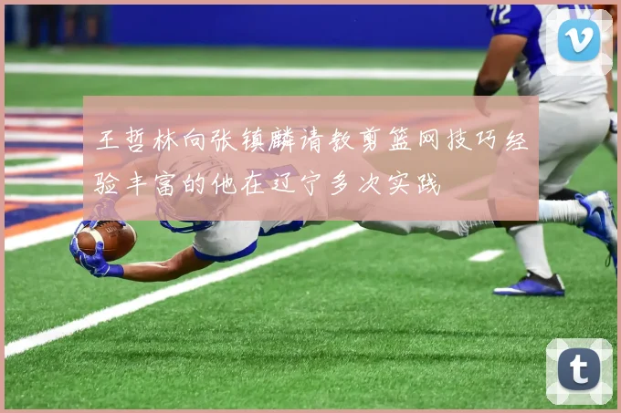 王哲林向张镇麟请教剪篮网技巧经验丰富的他在辽宁多次实践